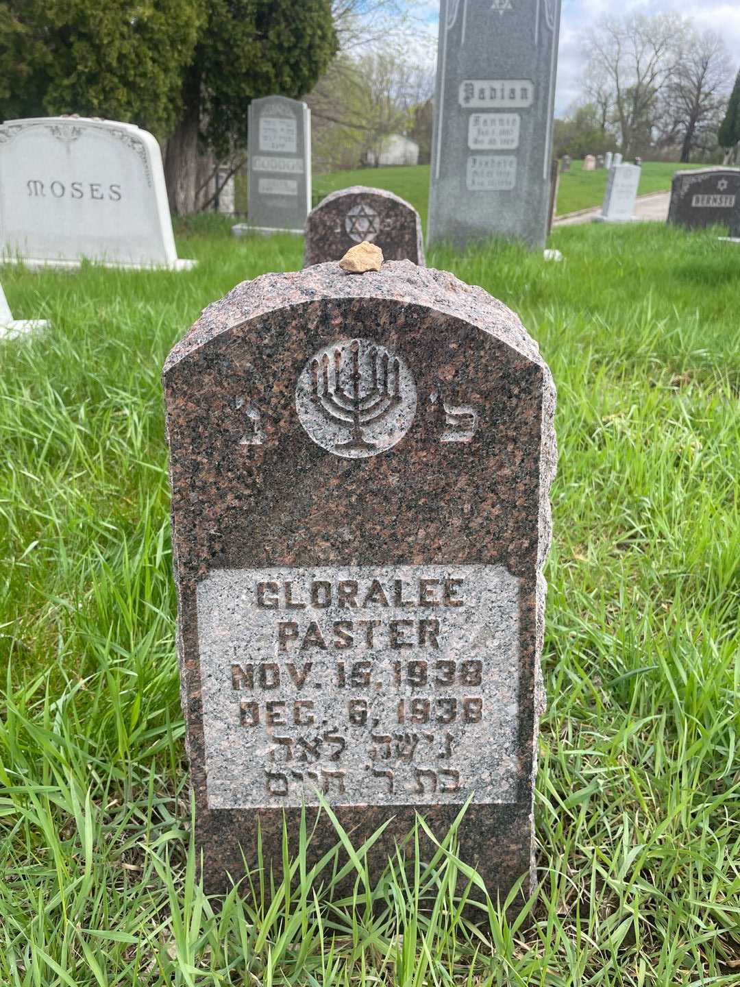 Gloralee Paster's grave. Photo 1