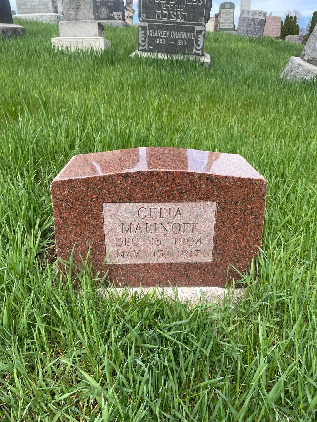 Celia Malinoff's grave. Photo 1