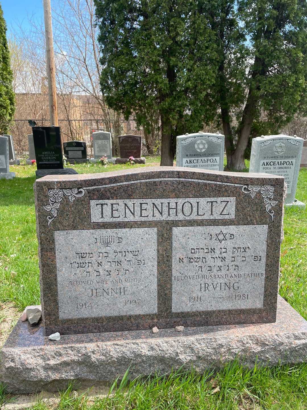 Irving Tenenholtz's grave. Photo 1