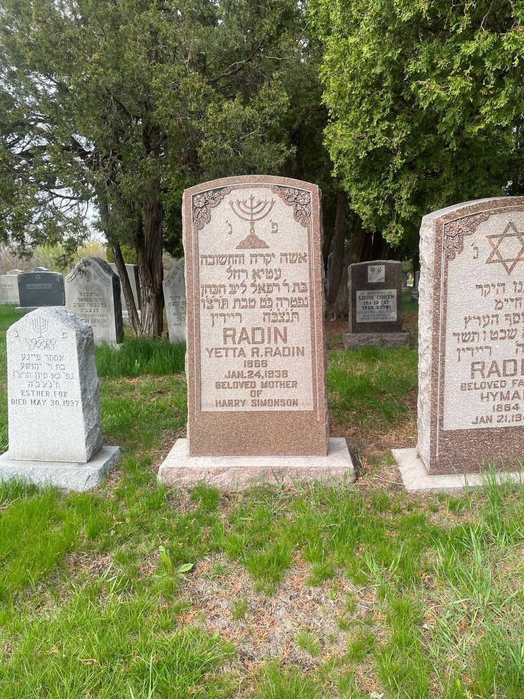 Yetta R. Radin's grave. Photo 2