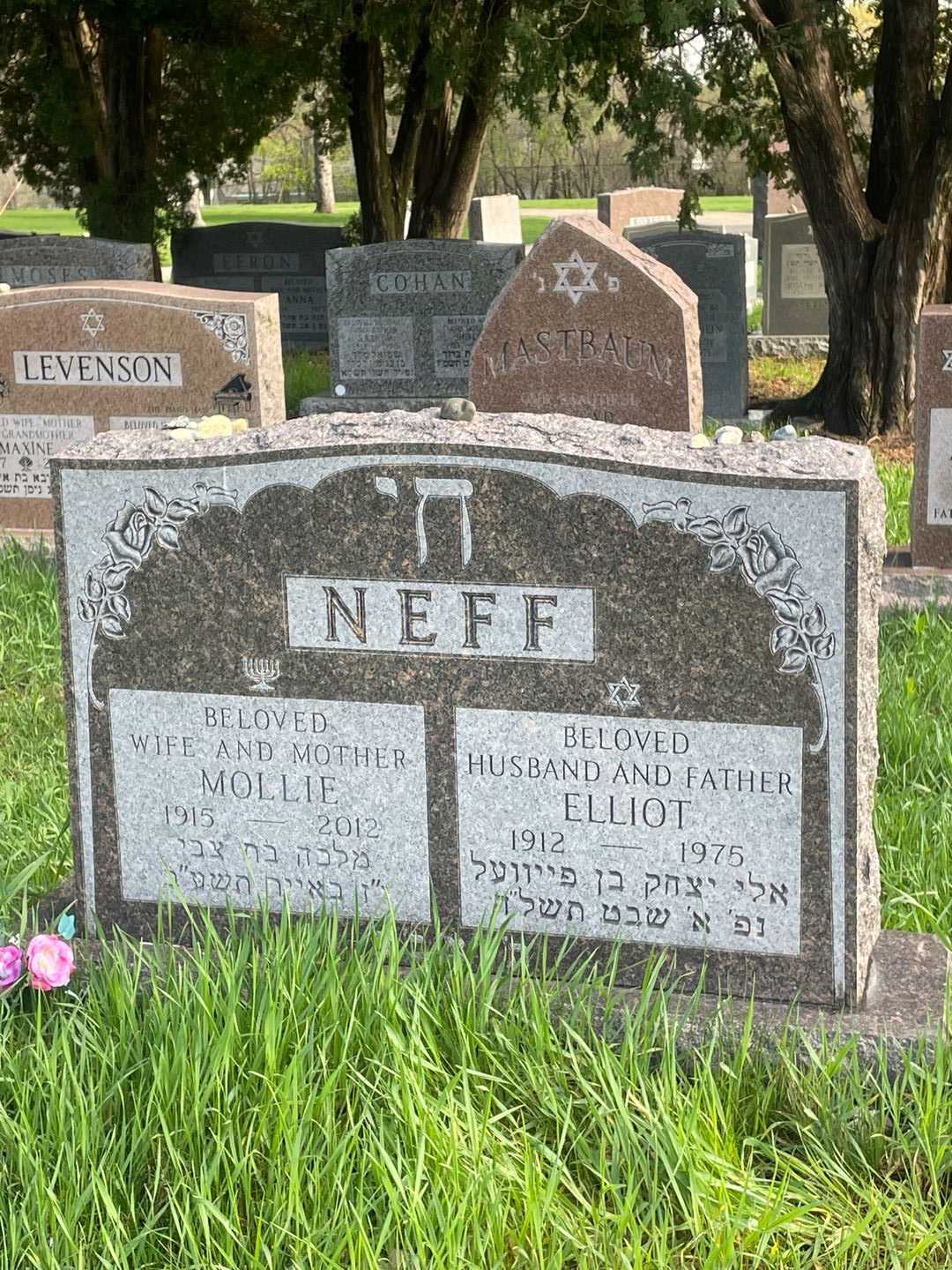 Elliot Neff's grave. Photo 1
