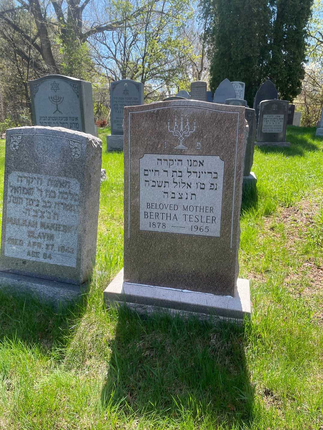 Bertha Tesler's grave. Photo 2