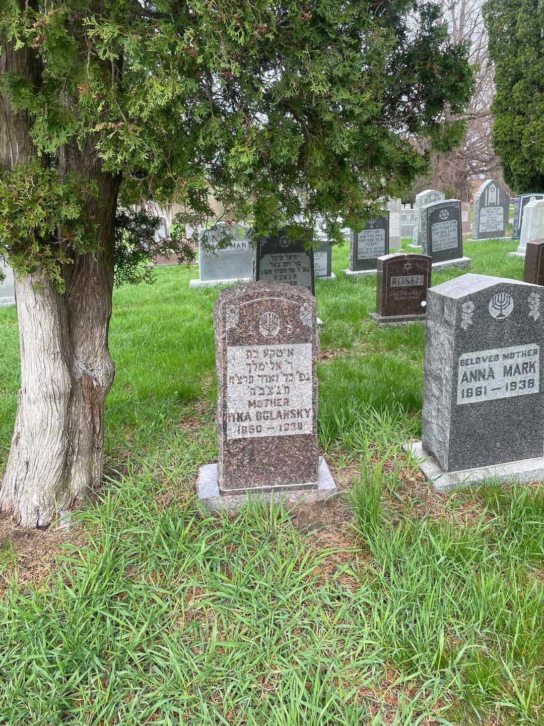 Ilka Oglansky's grave. Photo 2