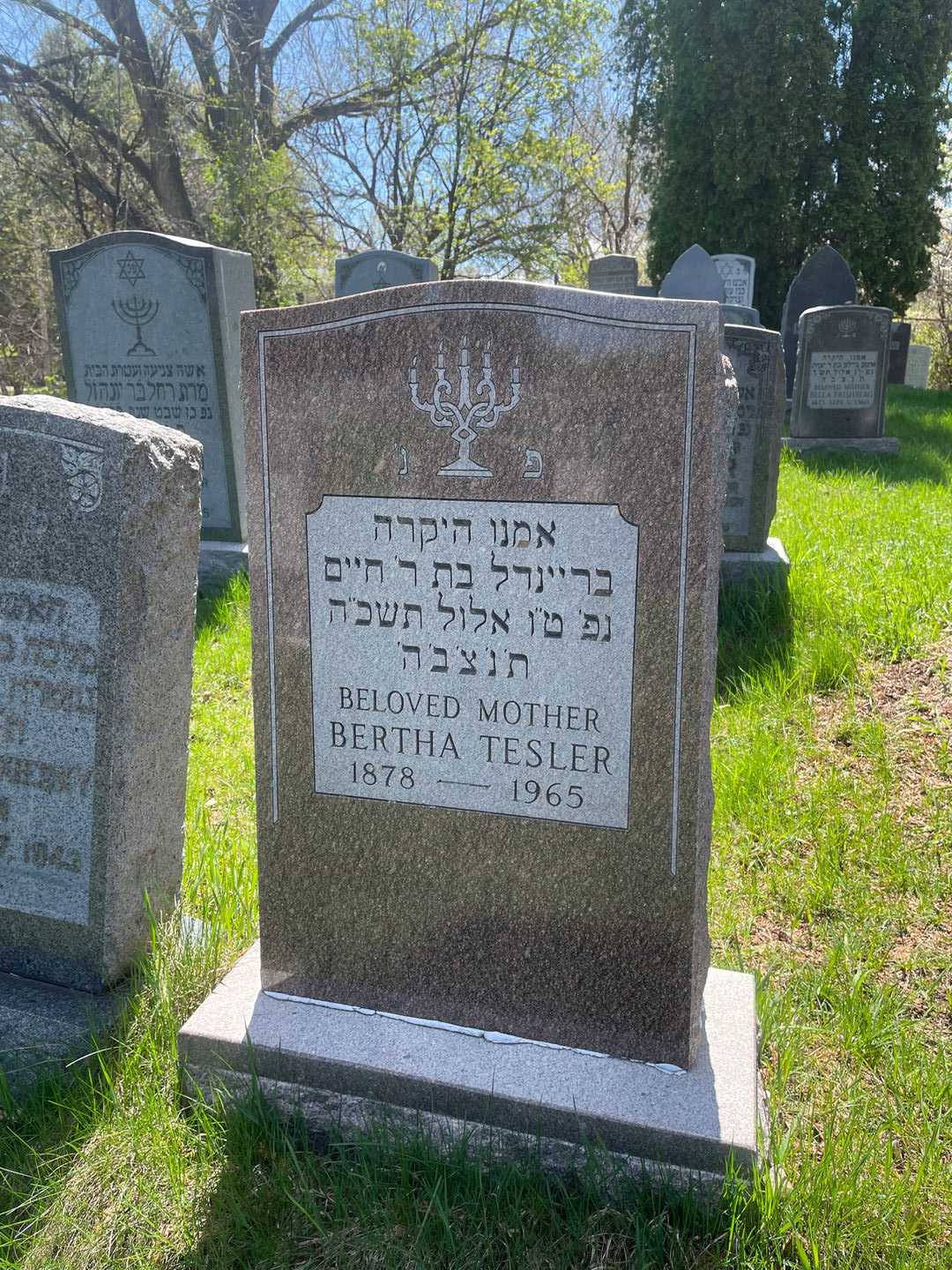 Bertha Tesler's grave. Photo 1