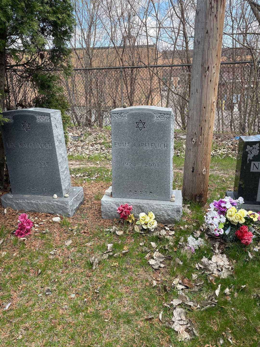 Emma Kapelevich's grave. Photo 2