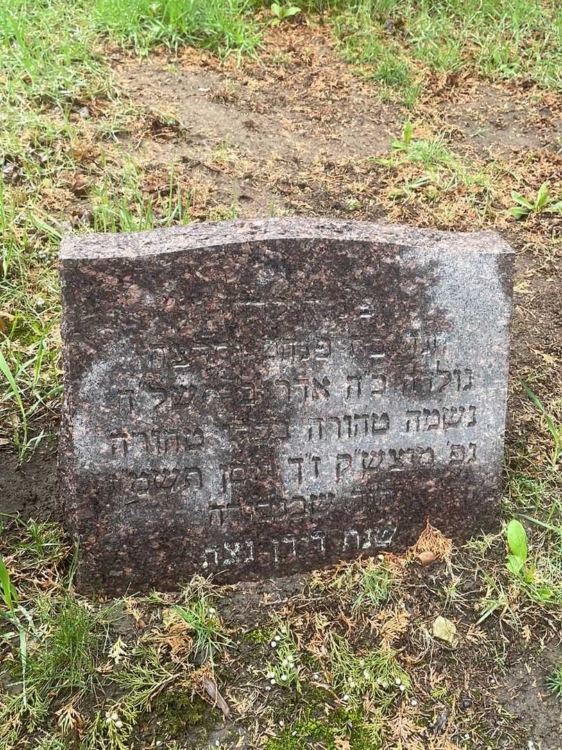 Hannah Naiditch's grave. Photo 3