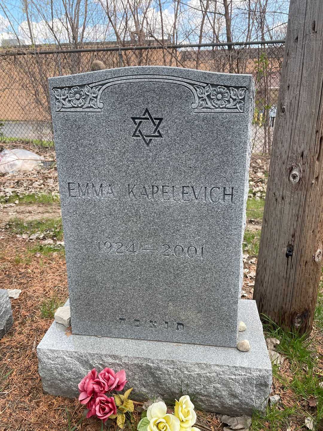 Emma Kapelevich's grave. Photo 1