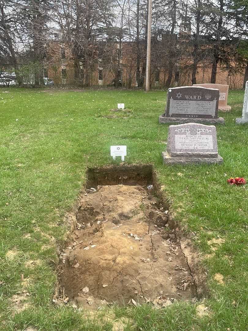 Harrison K. Paster's grave. Photo 2