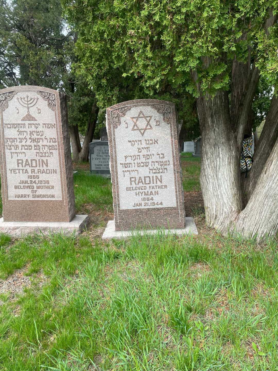 Hyman Radin's grave. Photo 2