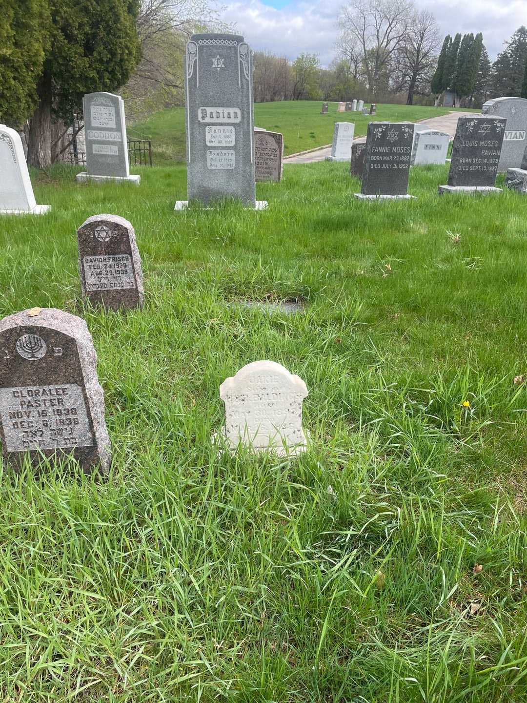 Jakie Baldinger's grave. Photo 2