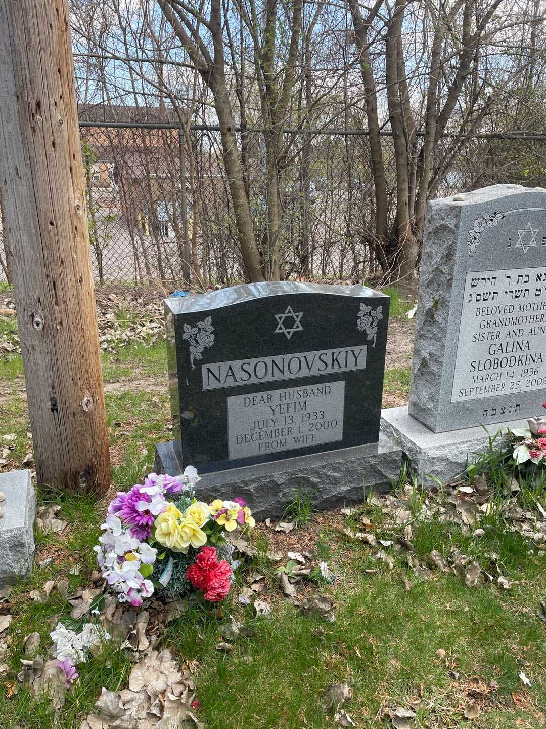 Yefim Nasonovskiy's grave. Photo 2