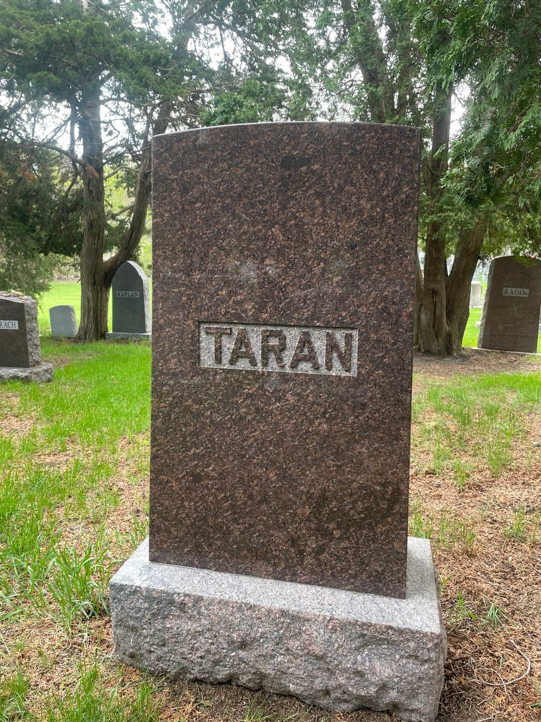 Alec Taran's grave. Photo 3