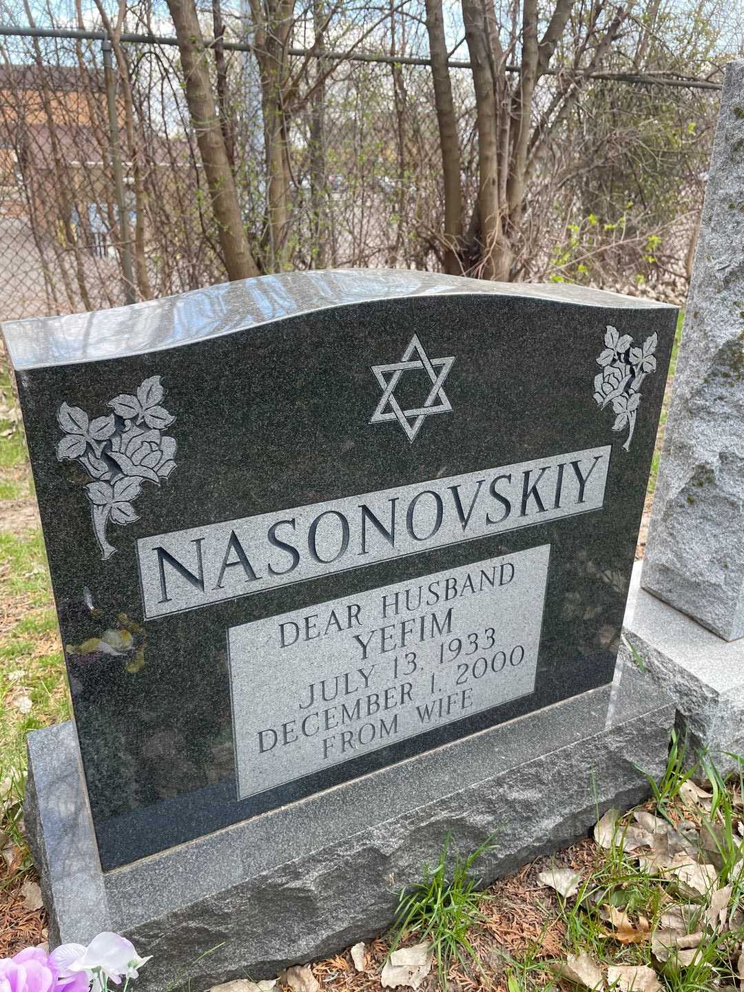 Yefim Nasonovskiy's grave. Photo 1