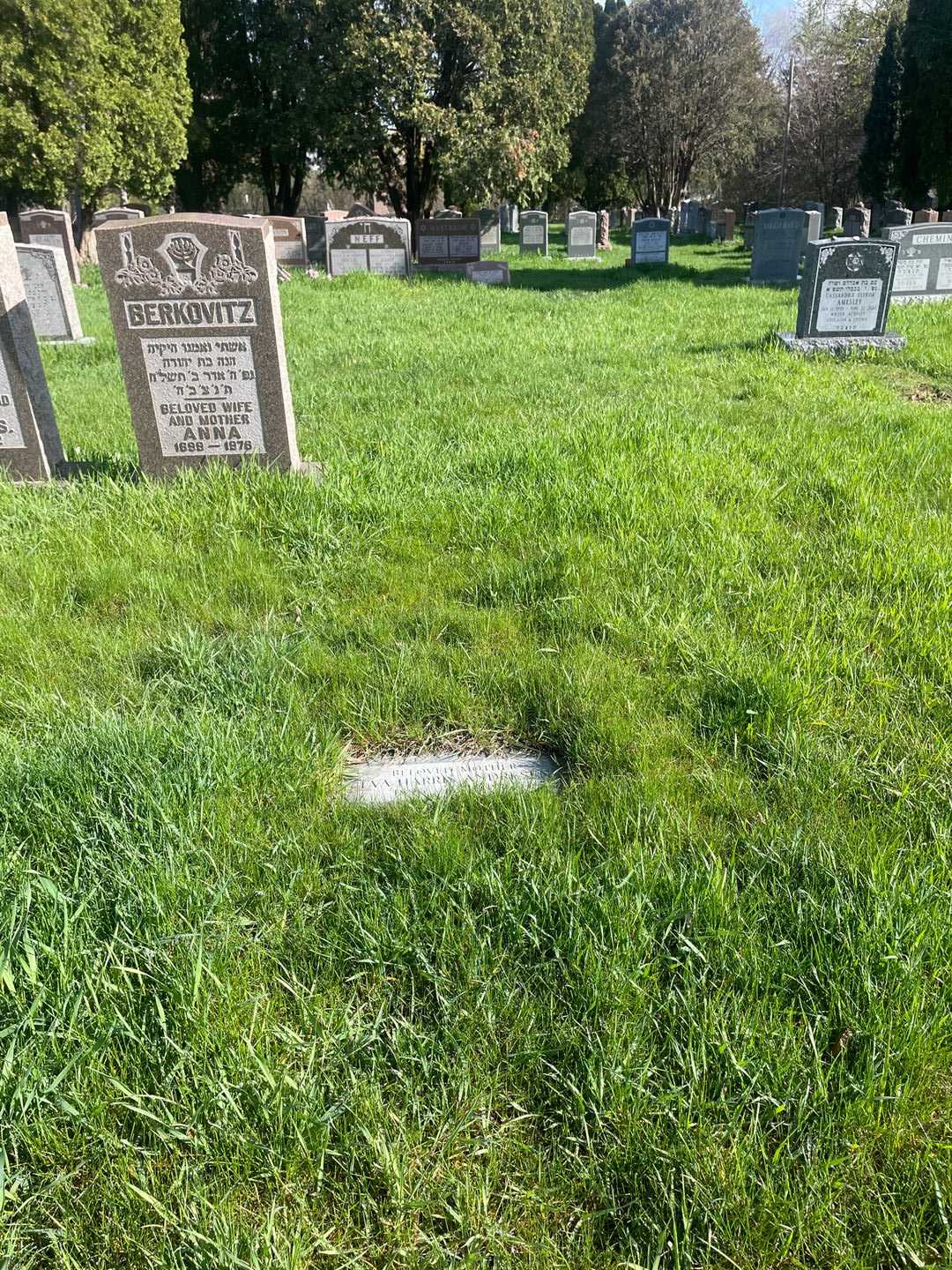 Eva Harris Andresen's grave. Photo 2