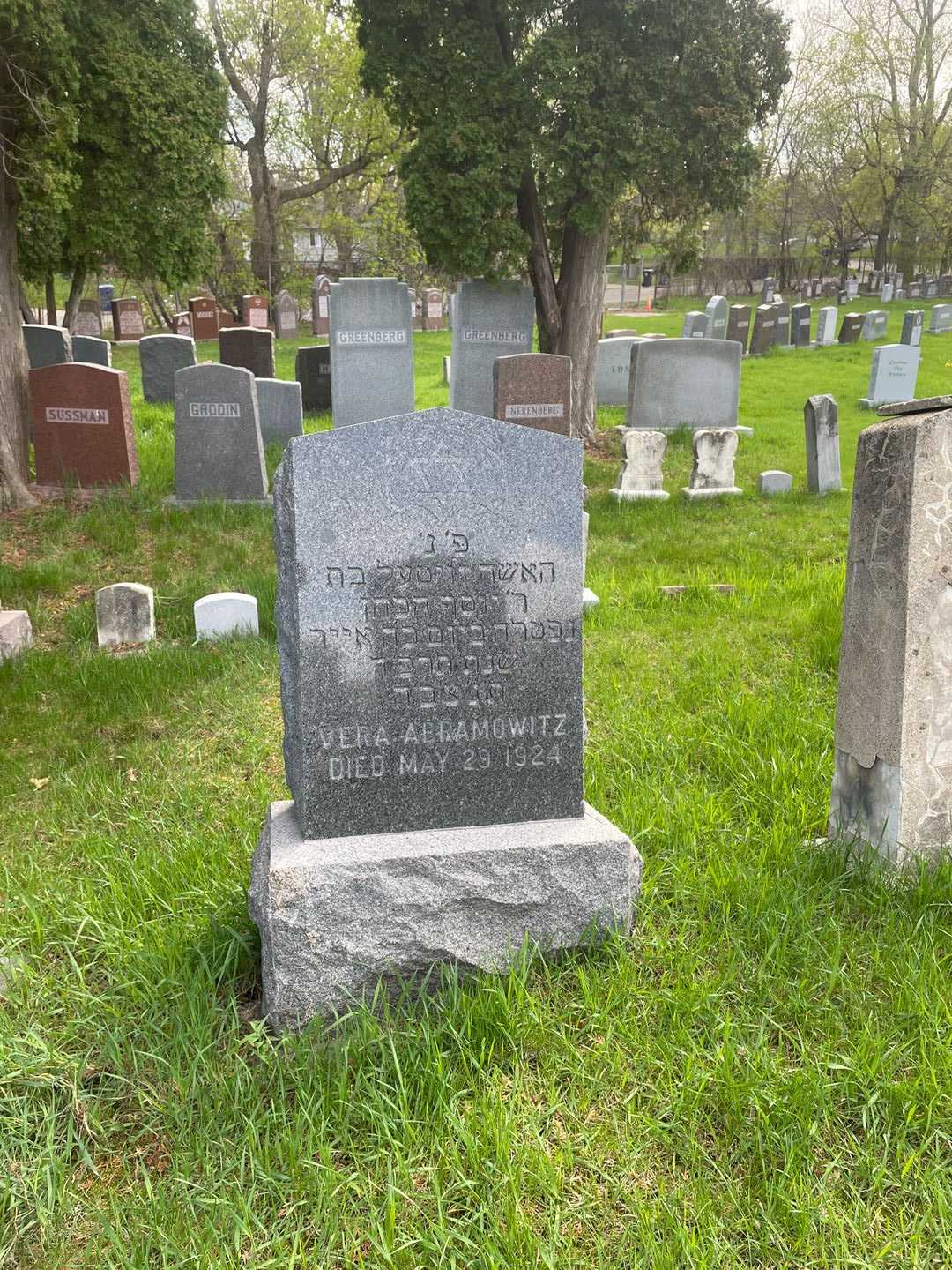 Vera Abramowitz's grave. Photo 2
