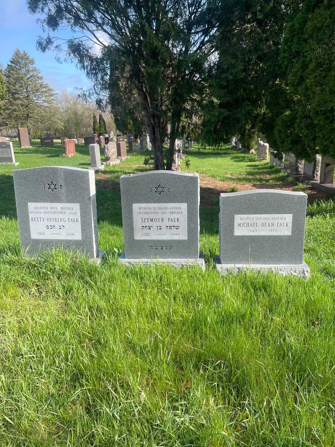 Seymour Falk's grave. Photo 2