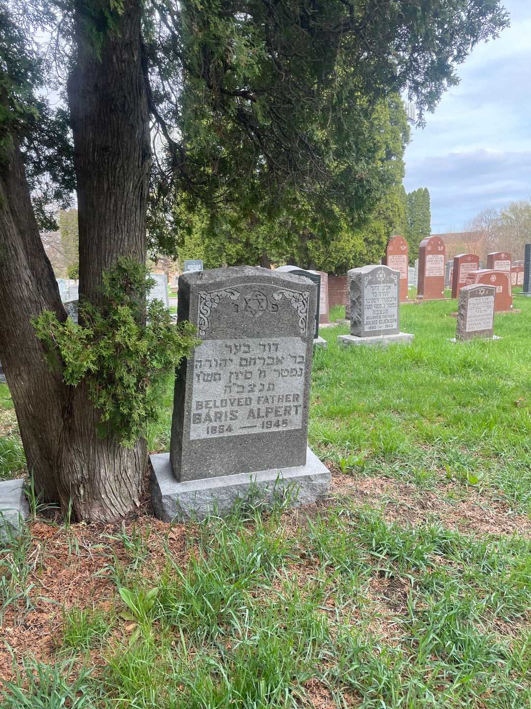 Baris Alpert's grave. Photo 2