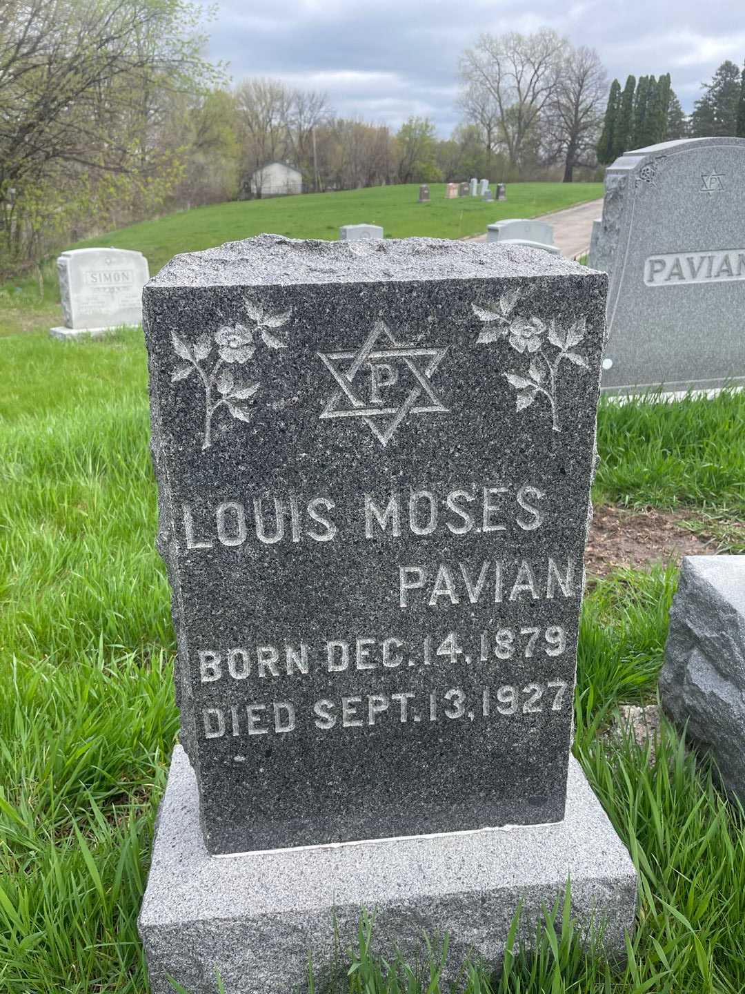 Louis Moses Pavian's grave. Photo 1