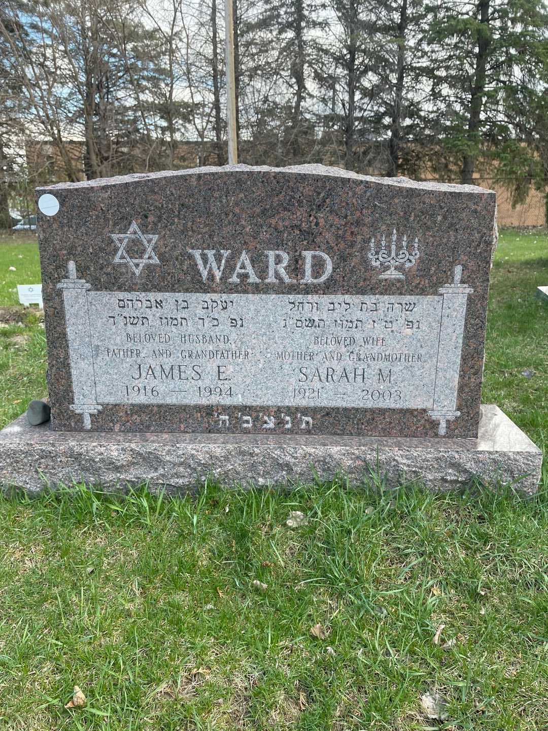 James Edward Ward's grave. Photo 1