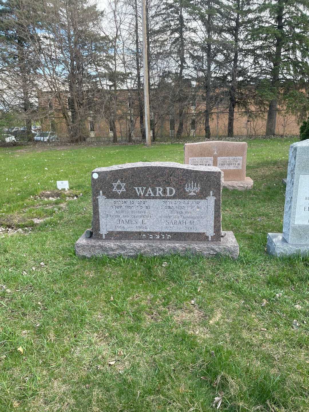 James Edward Ward's grave. Photo 2