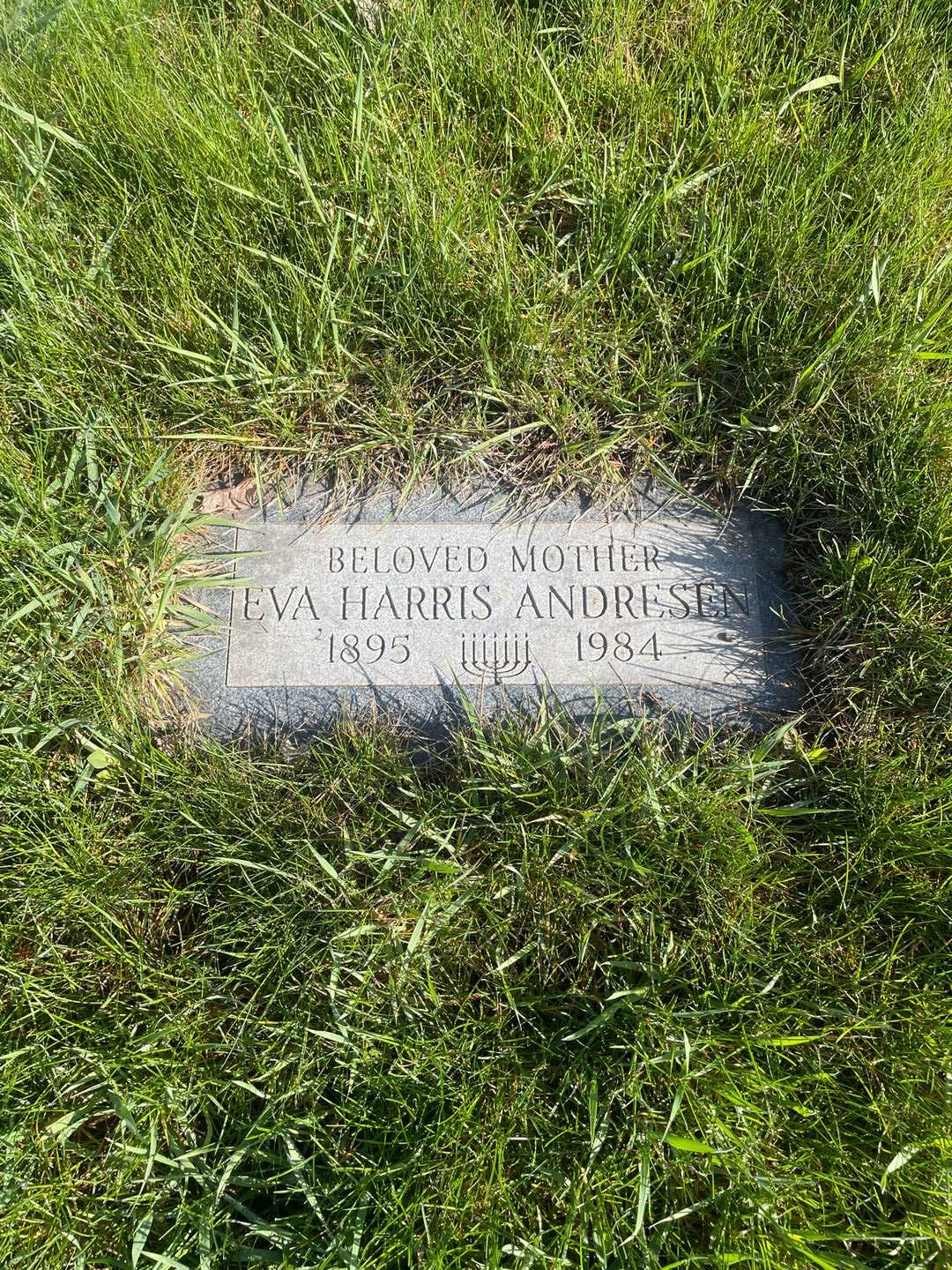 Eva Harris Andresen's grave. Photo 1