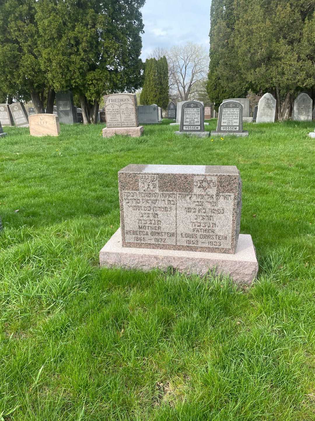 Louis Ornstein's grave. Photo 2