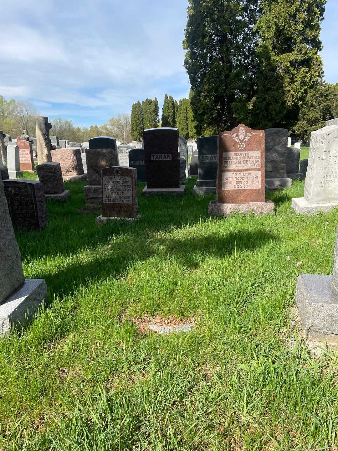 Fannie Schiern's grave. Photo 2