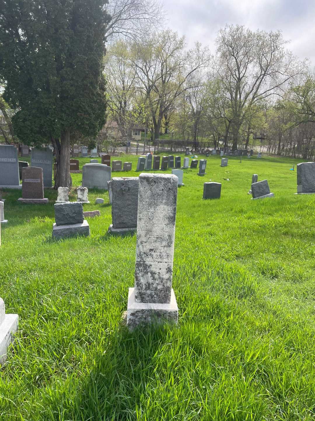 Jennie Lass's grave. Photo 2