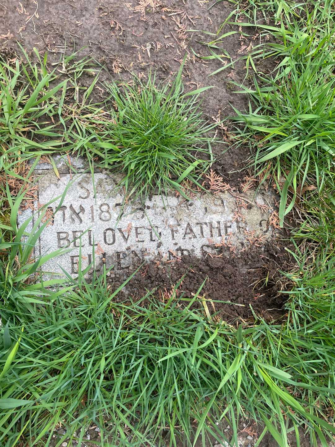 Samuel I. Pavian's grave. Photo 3
