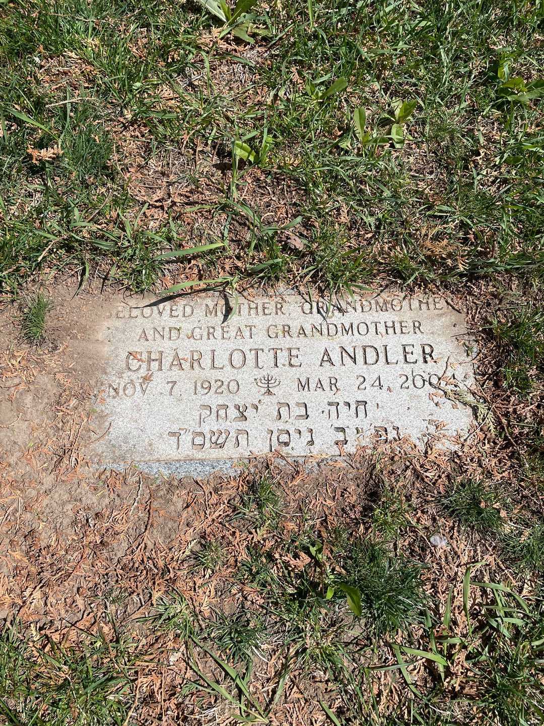 Charlotte Falk Andler's grave. Photo 3