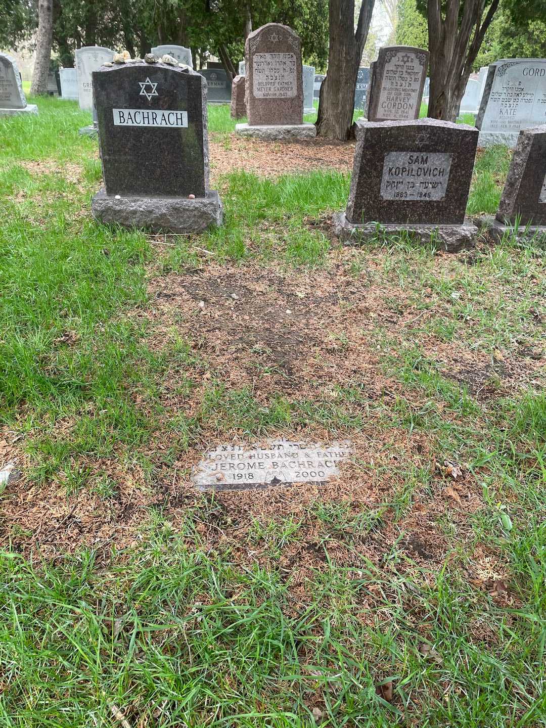 Jerome Bachrach's grave. Photo 2