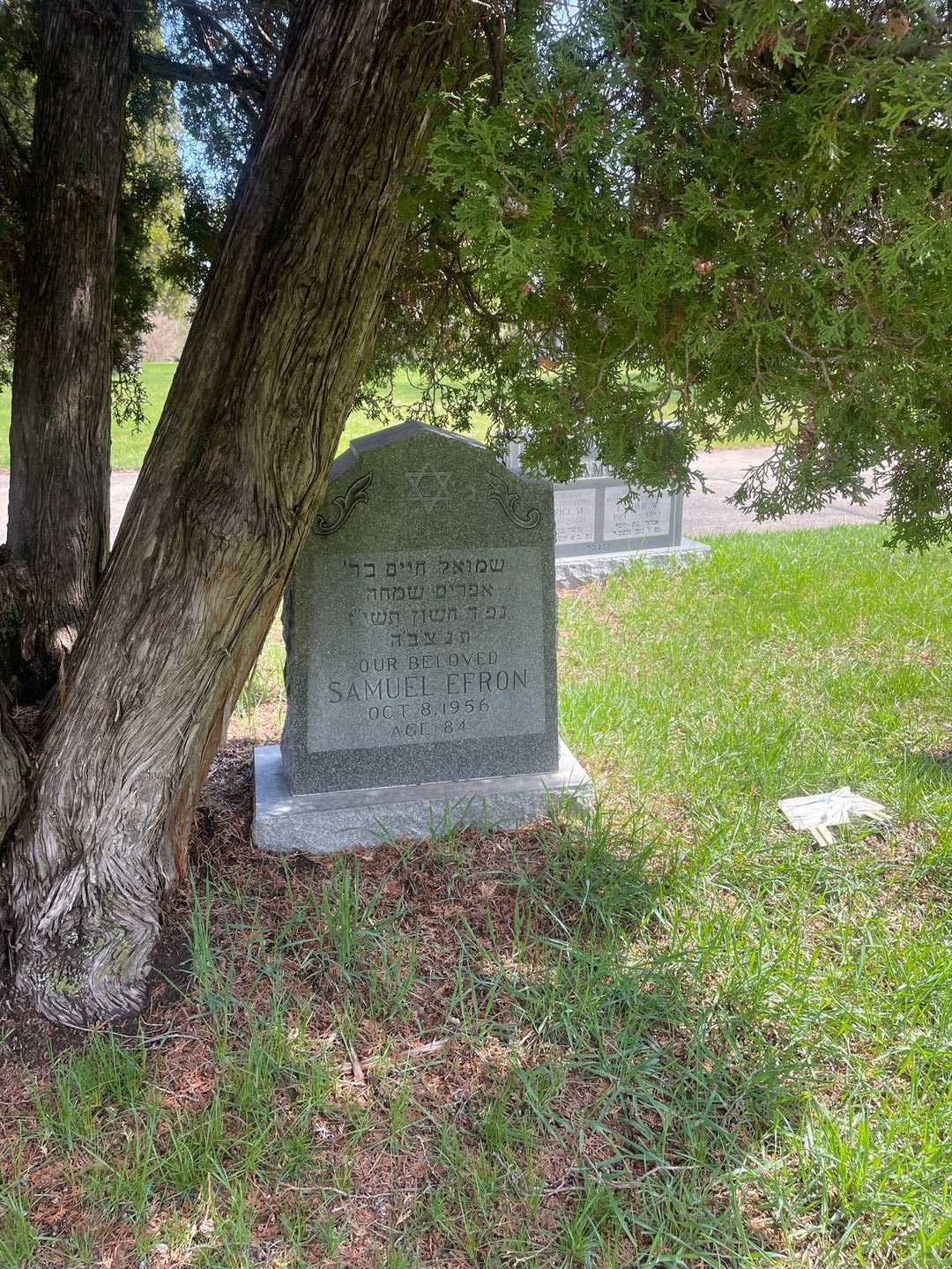 Samuel Efron's grave. Photo 2
