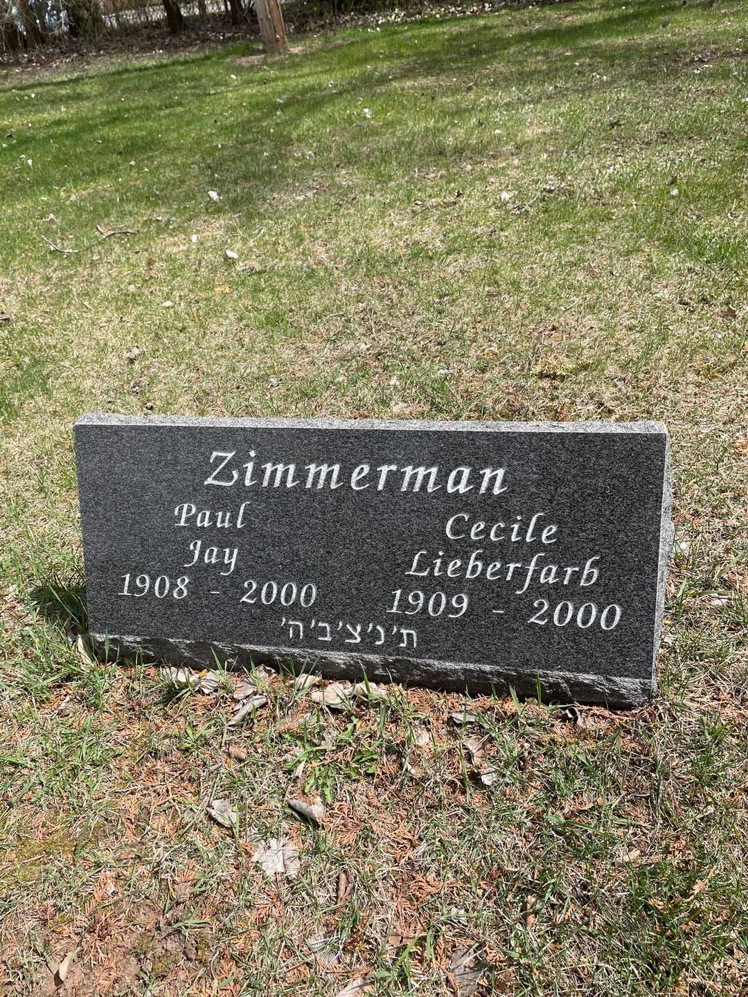 Paul Jay Zimmerman's grave. Photo 1
