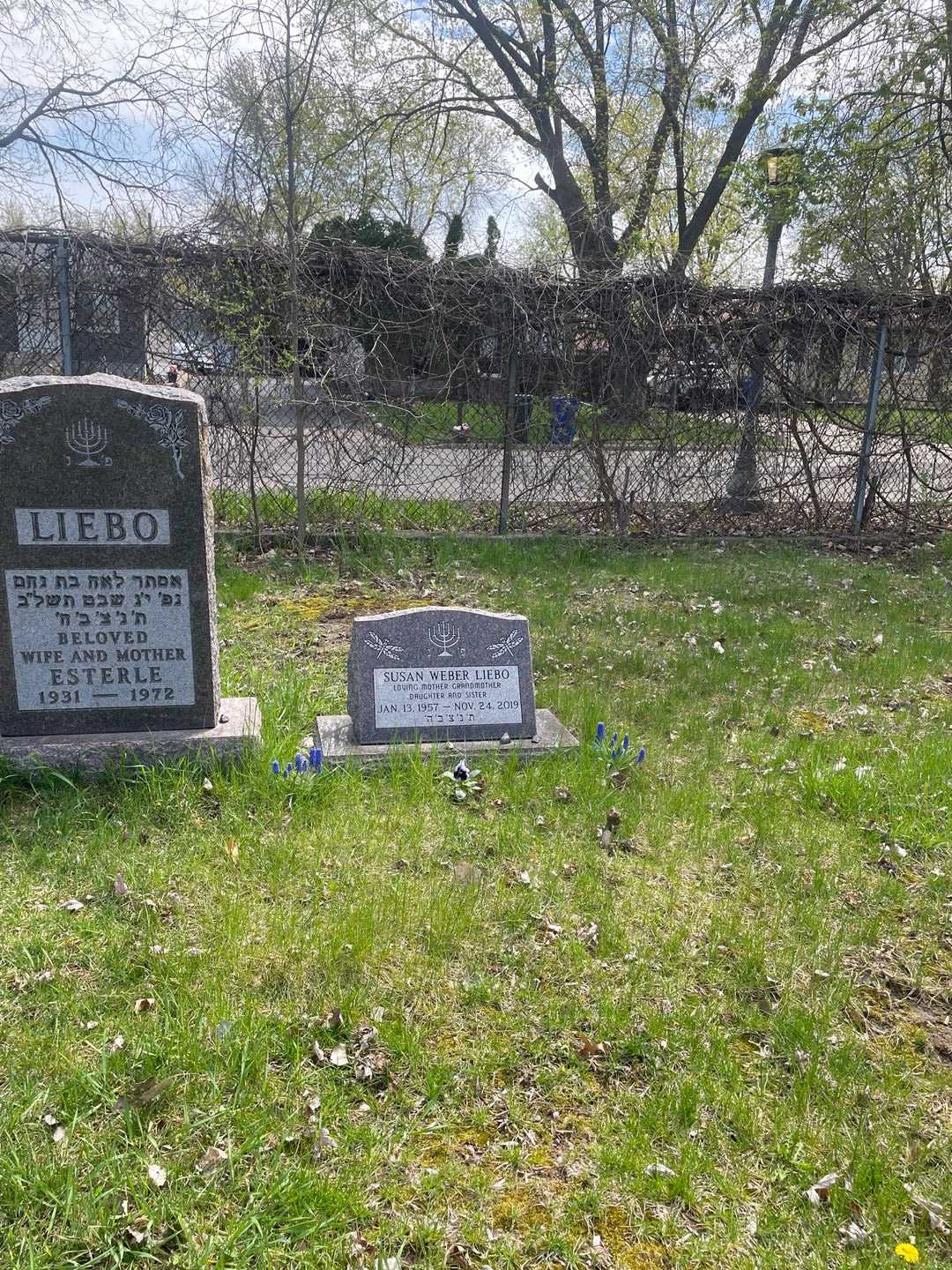 Susan Weber Liebo's grave. Photo 2