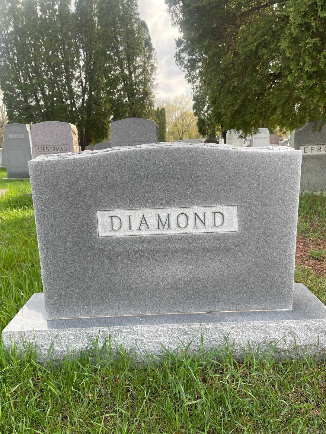 Maurice M. Diamond's grave. Photo 1