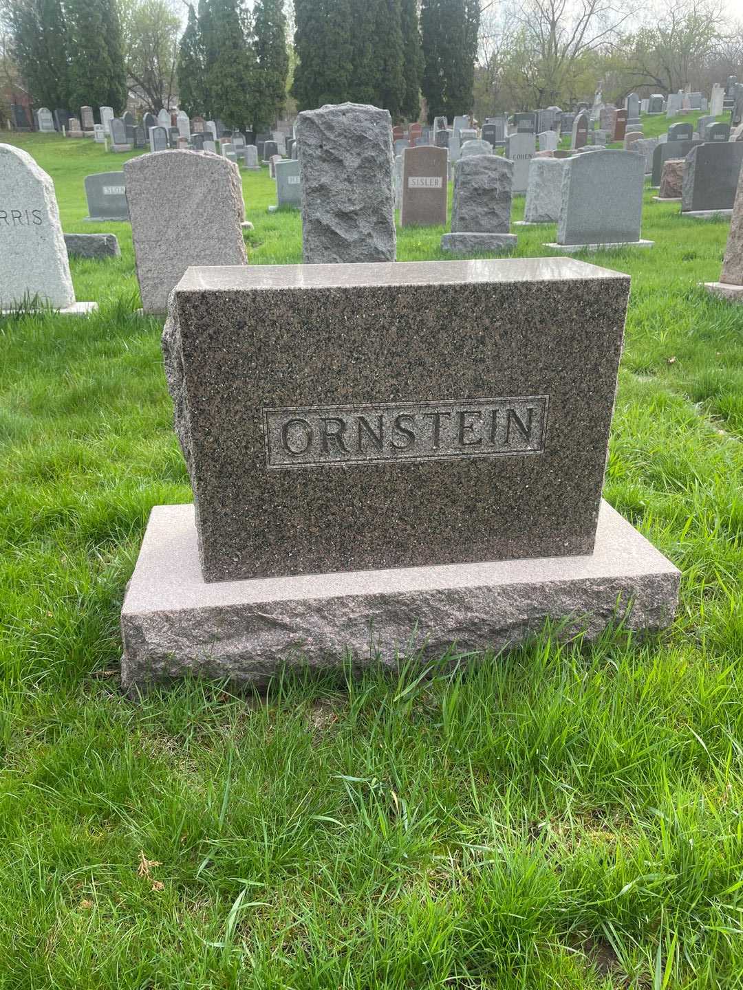 Louis Ornstein's grave. Photo 3