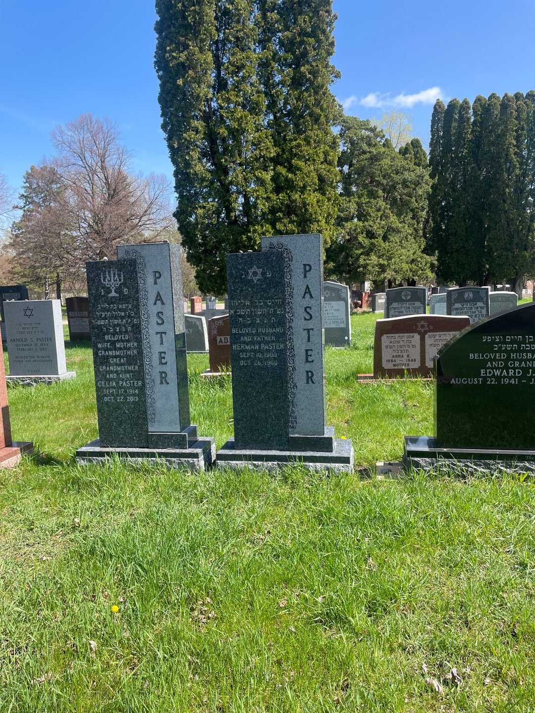Herman Paster's grave. Photo 2