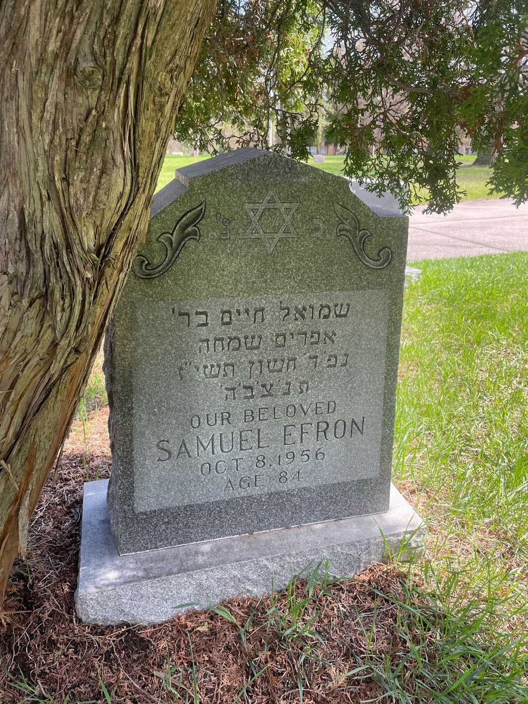Samuel Efron's grave. Photo 3