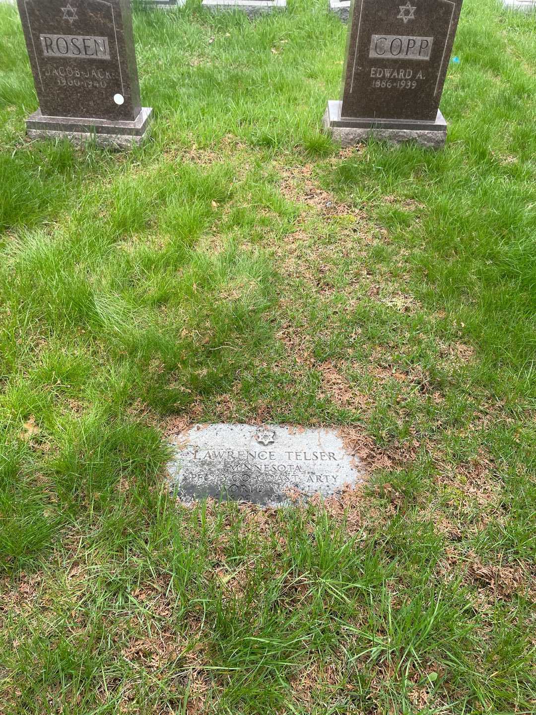 Lawrence Telser's grave. Photo 2