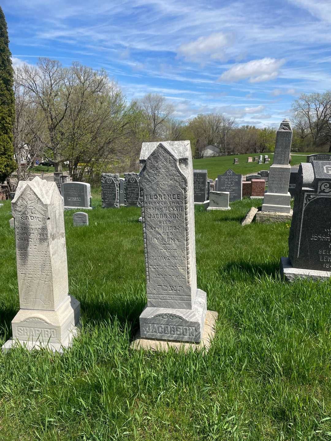 Florence Jacobson's grave. Photo 2