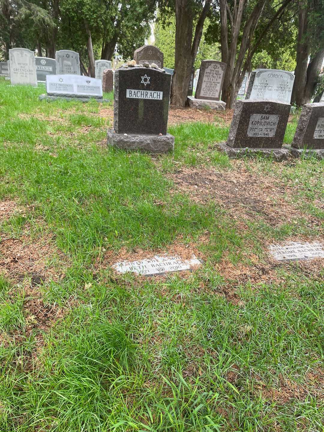 Beth Bachrach's grave. Photo 2
