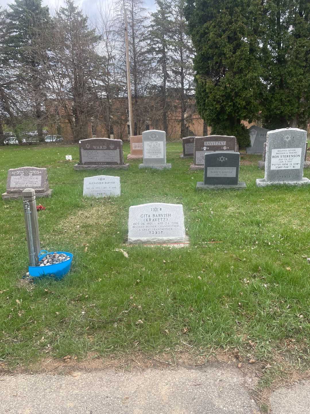 Gita Barvish's grave. Photo 2