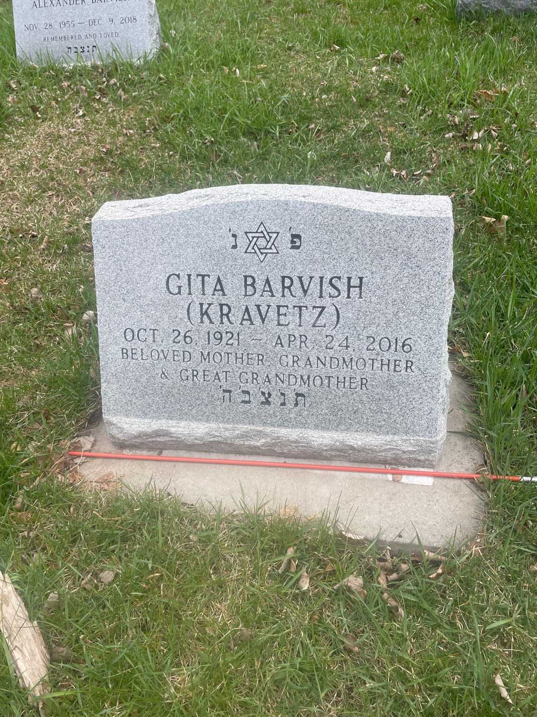 Gita Barvish's grave. Photo 3