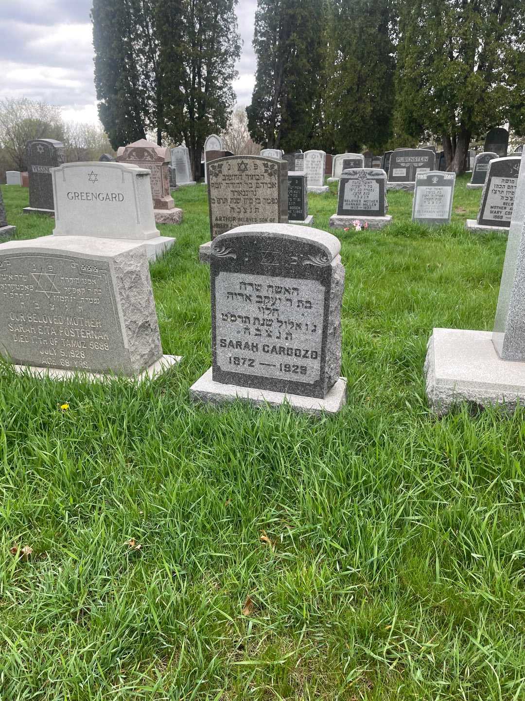 Sarah Cardozo's grave. Photo 2
