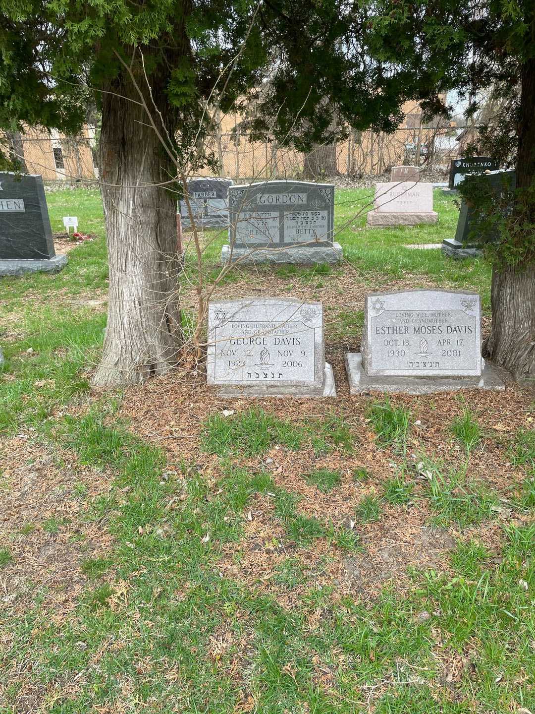 George Davis's grave. Photo 2