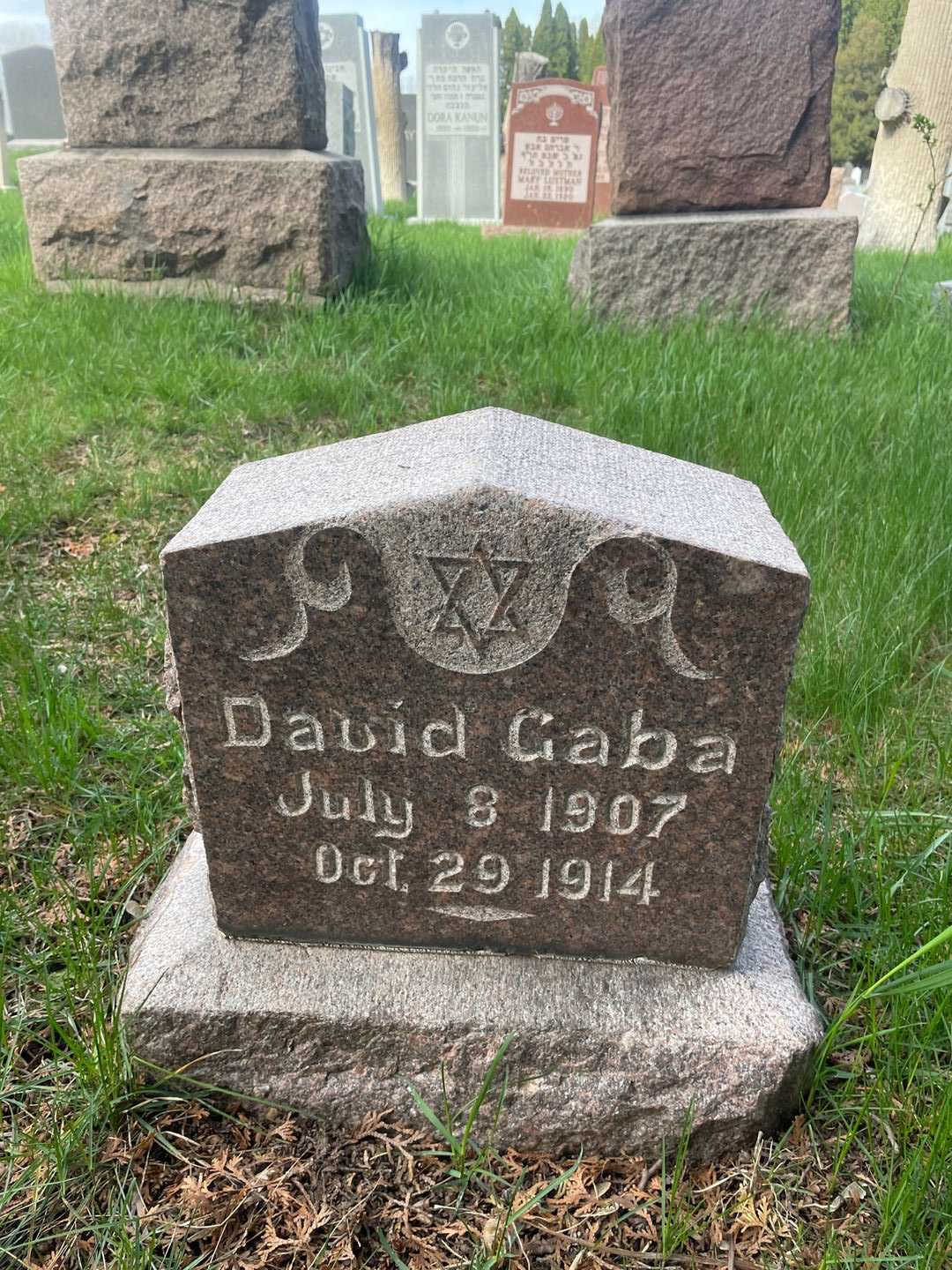 David Gaba's grave. Photo 1