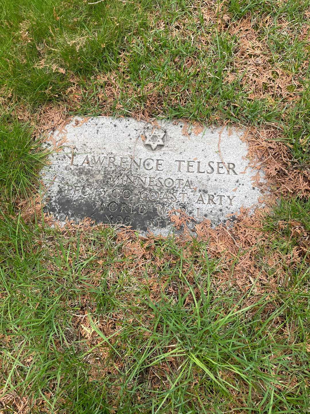 Lawrence Telser's grave. Photo 1