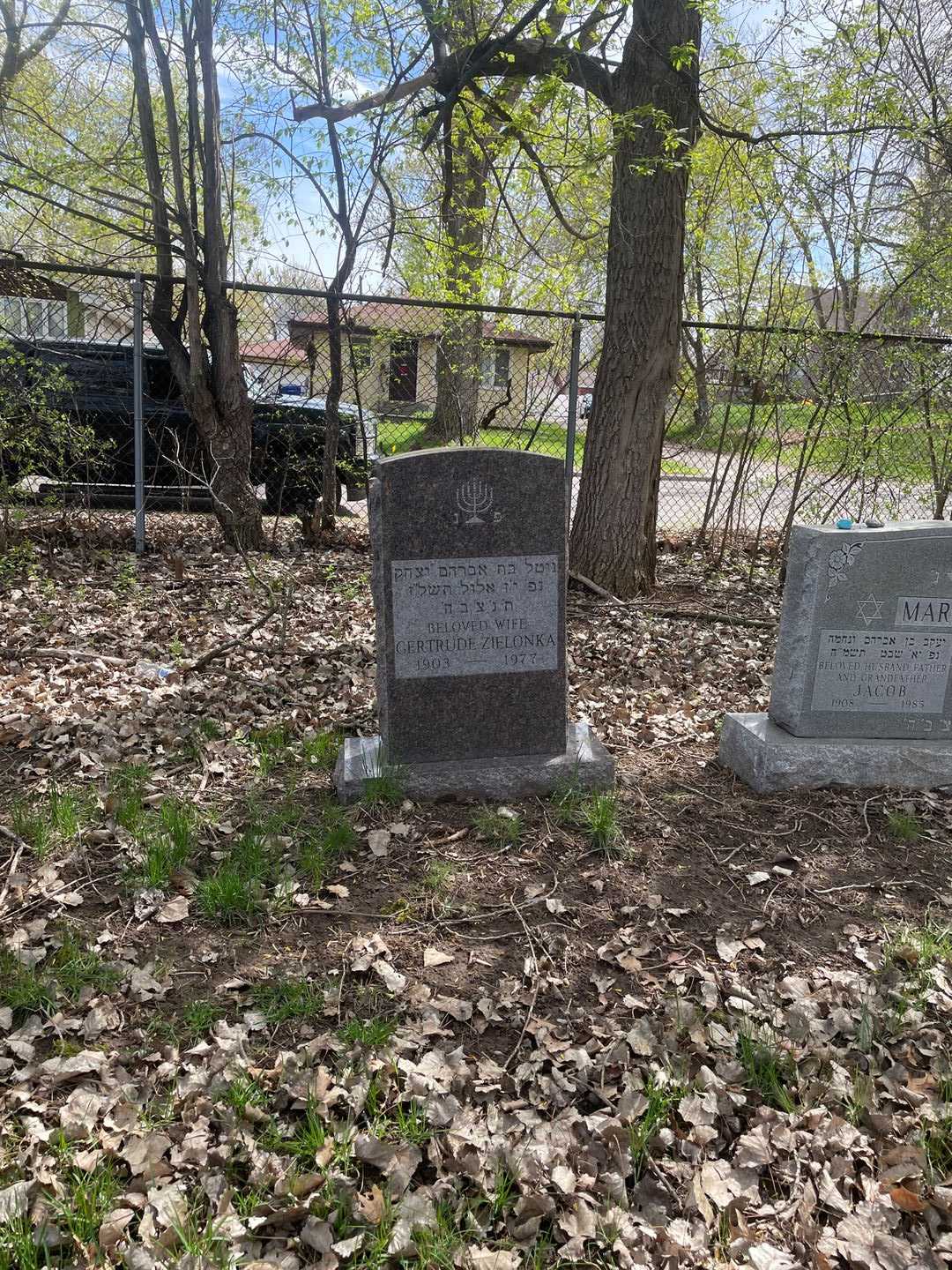 Gertrude Zielonka's grave. Photo 2
