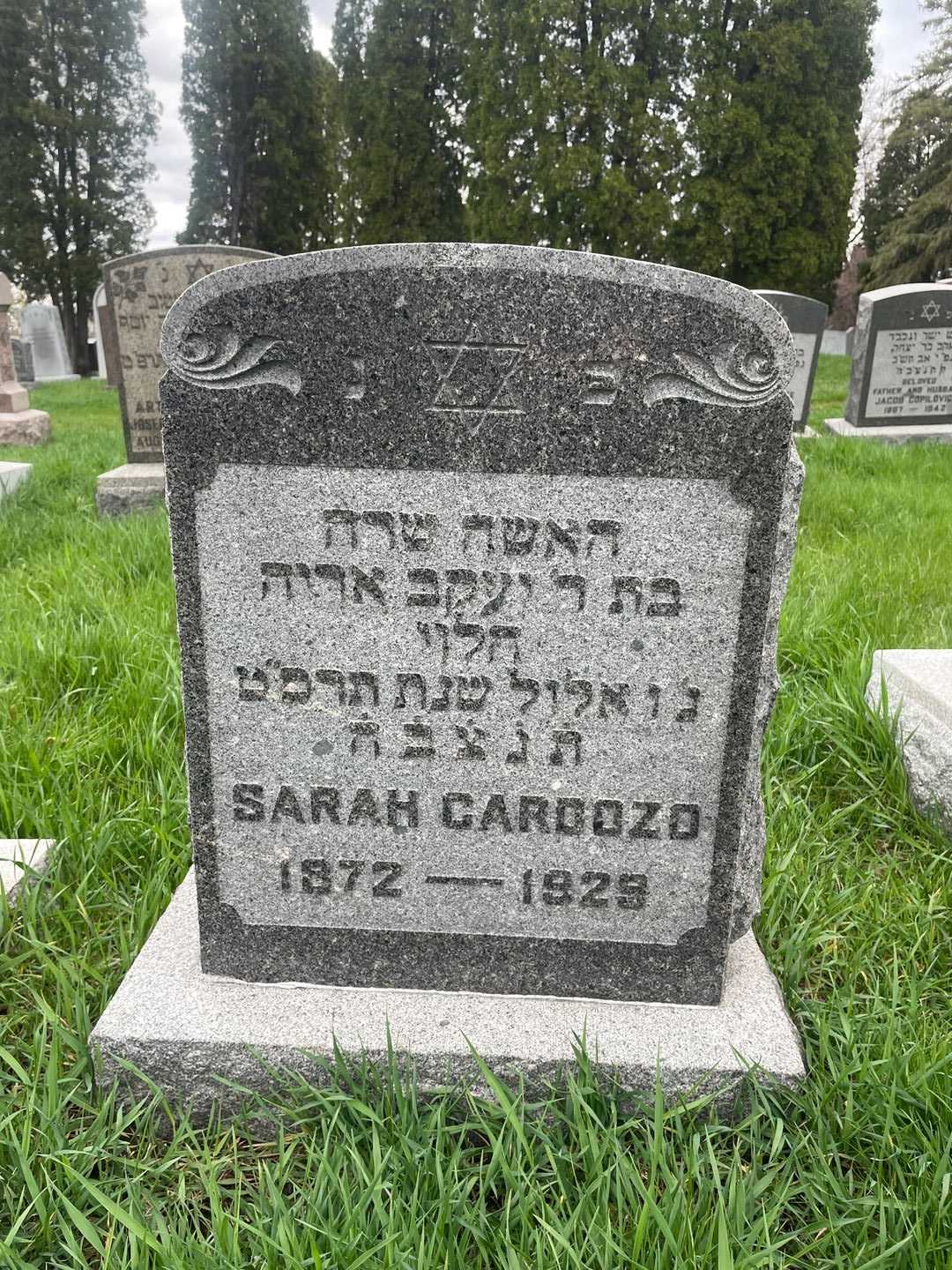Sarah Cardozo's grave. Photo 1