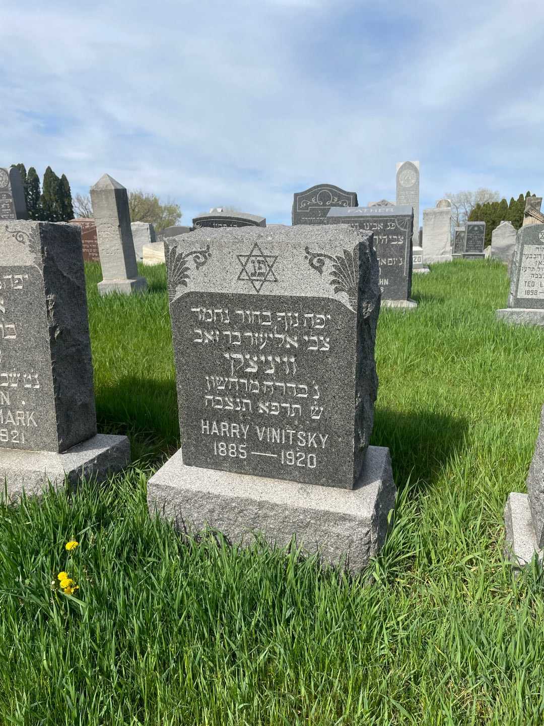 Harry Vinitsky's grave. Photo 2